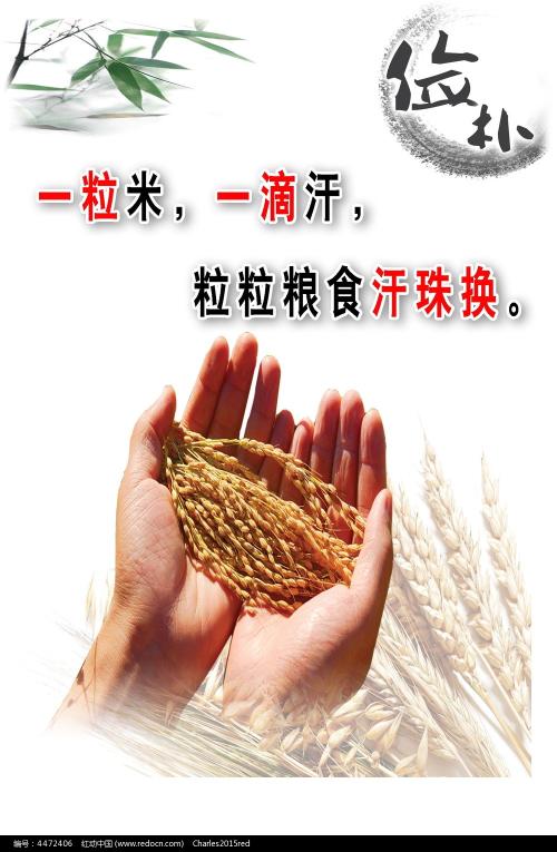 哪里能买到捷克共和国驾驶执照